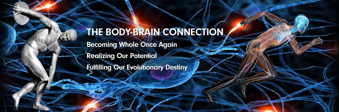 Brain-Body Connection